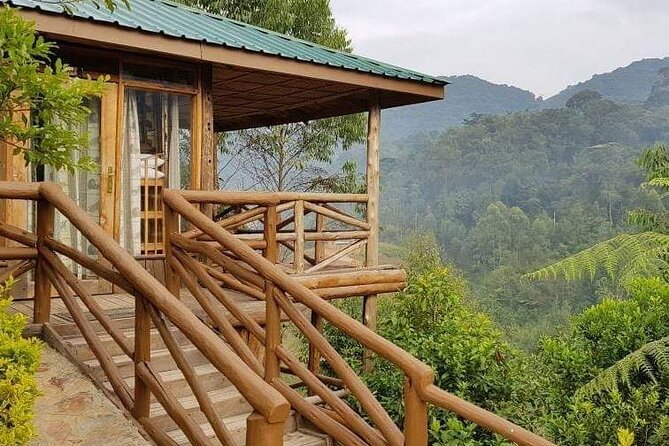 4-Day Private Tour in Bwindi Forest National Park - Who will enjoy this four-day format?