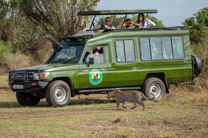 4-Day QENP, Gorillas in Bwindi and Lake Bunyonyi relaxation - Day 3: From Queen Elizabeth to Lake Mburo