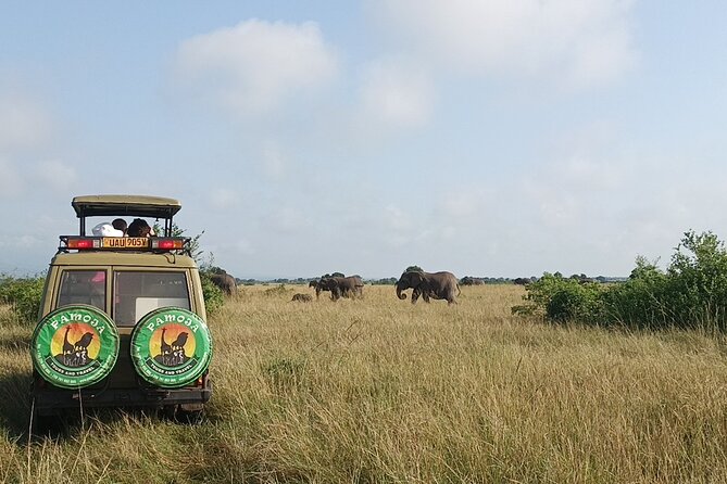 4-Day QENP, Gorillas in Bwindi and Lake Bunyonyi relaxation - Group size, comfort, and service