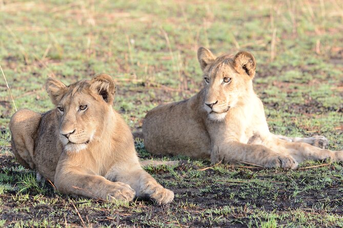 4-Day QENP, Gorillas in Bwindi and Lake Bunyonyi relaxation - Who should choose this safari