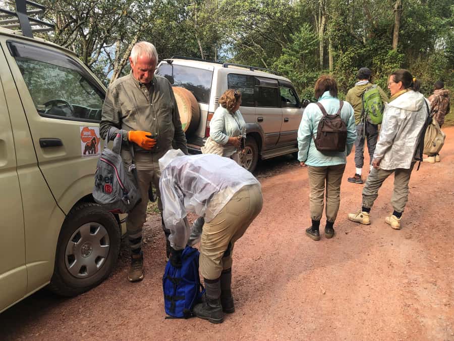4-Day Uganda Safari with Gorillas starting from Kigali - Game drives in Queen Elizabeth