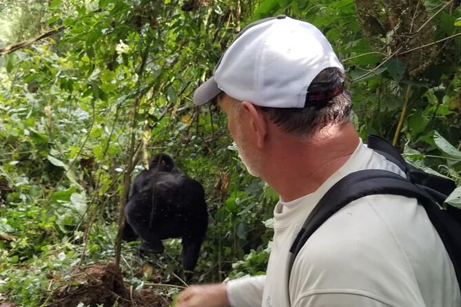 4 Days Gorilla and Chimps trek safari - Day 1: Kampala to Bwindi, with the Equator on the way
