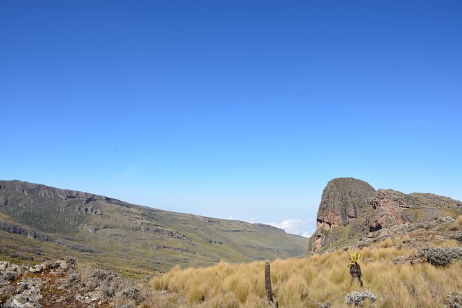 4 Days mount Elgon Trek, 4321m a.s.l - Day three: the 9-kilometer push to Wagagai Peak