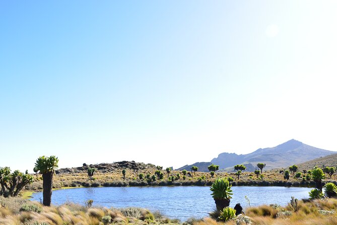 4 Days mount Elgon Trek, 4321m a.s.l - Day two: climbing to Dubi Camp at 3,300 meters