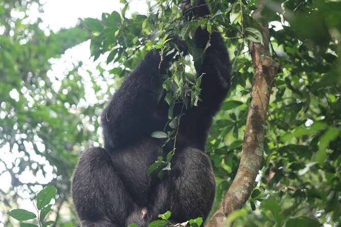 5-Day Big 5 Kidepo valley National Park Safari - Why Kidepo makes this five-day safari different