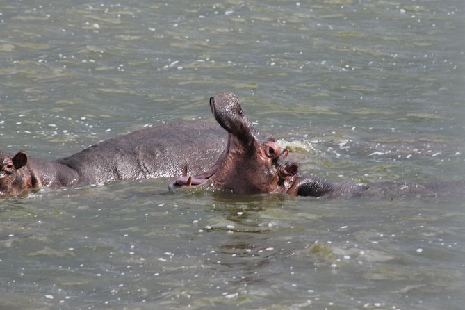 5-Day Big 5 Kidepo valley National Park Safari - Day four: the Narus Valley and Karimojong culture