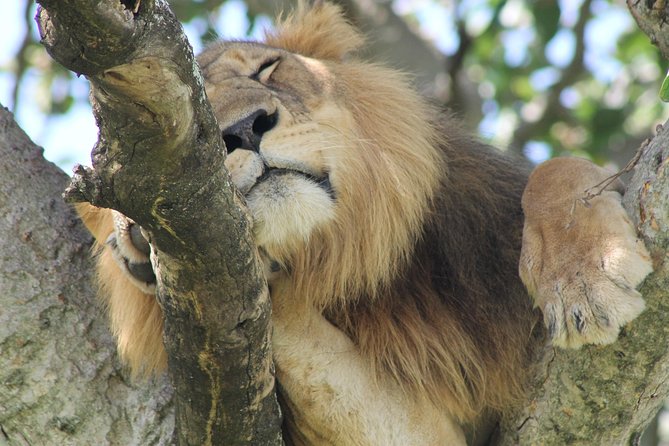 5-Day Big 5 Kidepo valley National Park Safari - Day two: reaching Kidepo Valley National Park