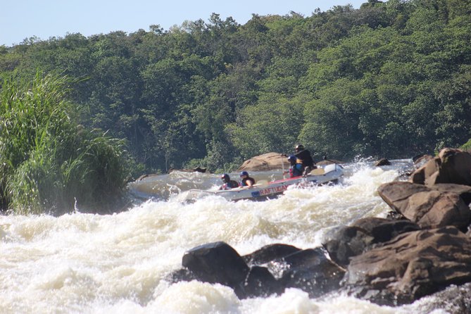 5 Day Gorillas and White Water Rafting Uganda Safari Adventure - Day four: Gorilla tracking in Bwindi