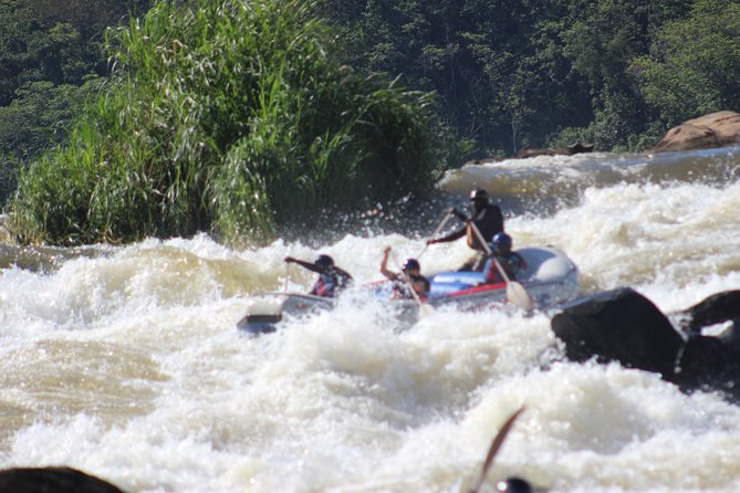5 Day Gorillas and White Water Rafting Uganda Safari Adventure - Day five: The long return to Entebbe