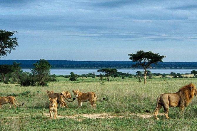 5-Day Murchison Falls, Budongo Chimps, Wildlife Big 5 Safari - Day 1: A soft landing in Kampala or Entebbe