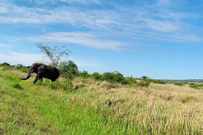 5 days best wildlife experience in Uganda - Is $2,569 per person good value?