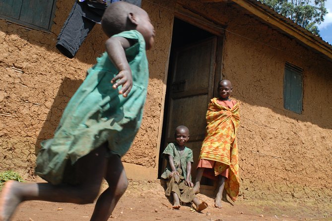 5 Days Gorilla Safari Uganda - Strengths, limits, and useful preparation