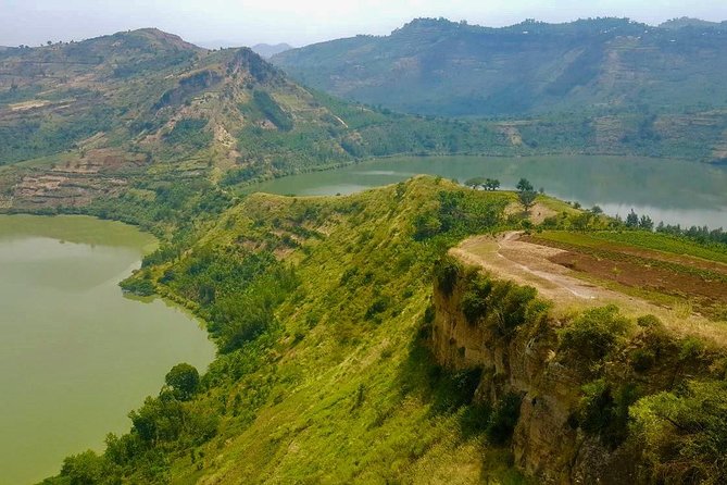 6 Day Gorilla tracking and Wildlife Safari - Day 4: Ishasha’s tree-climbing lions and Queen Elizabeth National Park