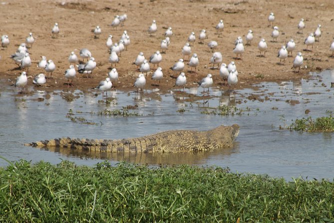 6-Day Queen Elizabeth and Mburo Luxury Safari - How the six days fit together