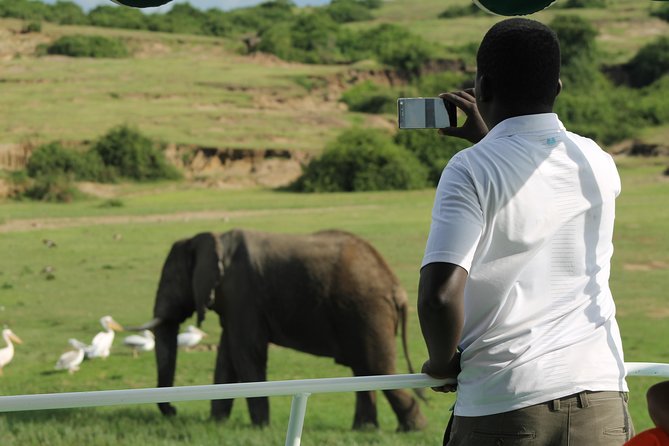 6-Day Queen Elizabeth and Mburo Luxury Safari - Day 1: Arriving in Entebbe and easing into Uganda