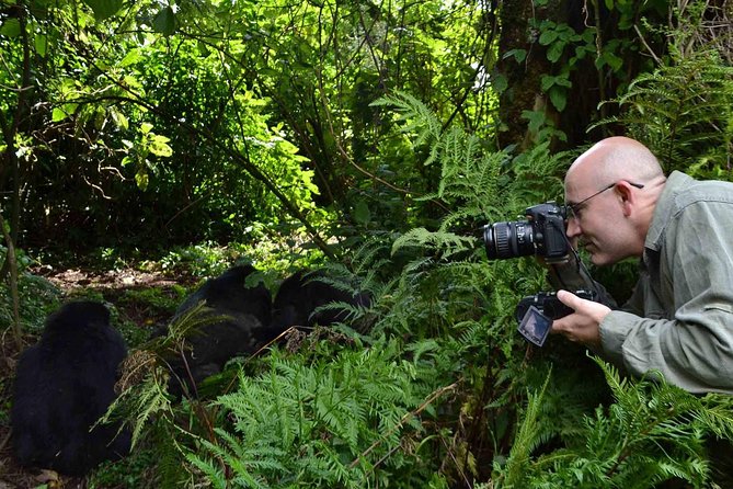 6 Days Chimps, Gorillas & Murchison Falls Africa's Big Five Experience Safari - The guides can shape the whole experience