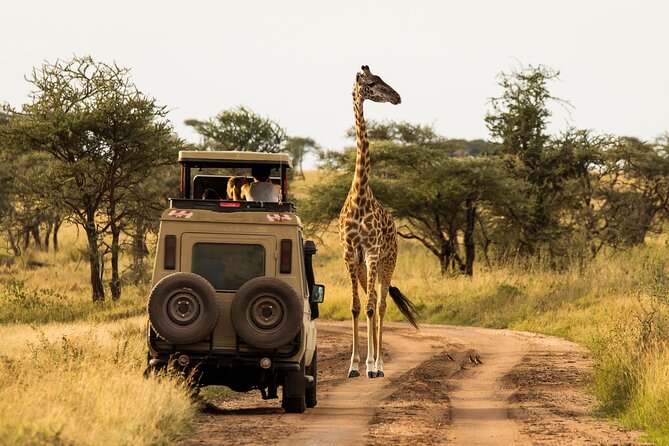 7-Day Private Uganda Gorilla Tracking Safari Tour From Entebbe - The Equator and the road to Queen Elizabeth on Day 2