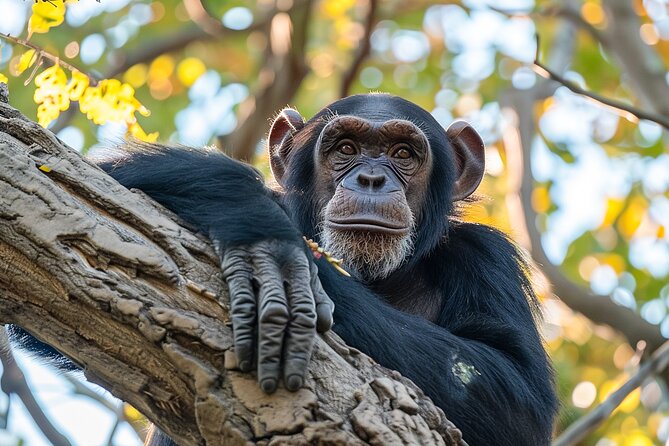 7-Day Private Uganda Gorilla Tracking Safari Tour From Entebbe - Lake Mburo’s zebras and water birds on Day 6