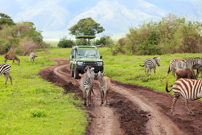 7-Day Private Uganda Gorilla Tracking Safari Tour From Entebbe - Is $2,999 a fair price?