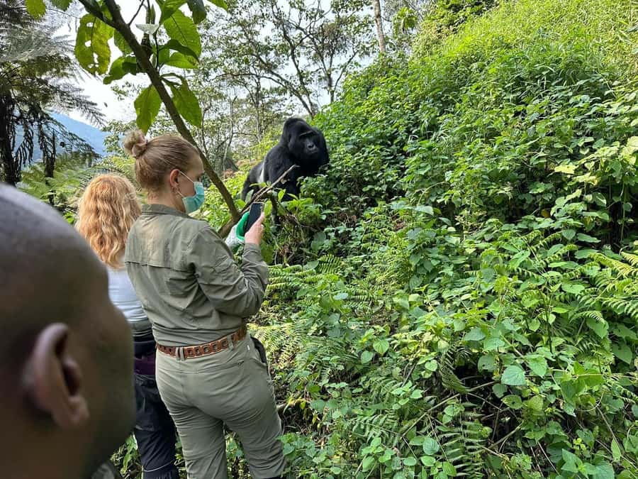 7 Day Rwanda Uganda Primates Trekking and Wildlife Tour - Lake Bunyonyi to Queen Elizabeth National Park