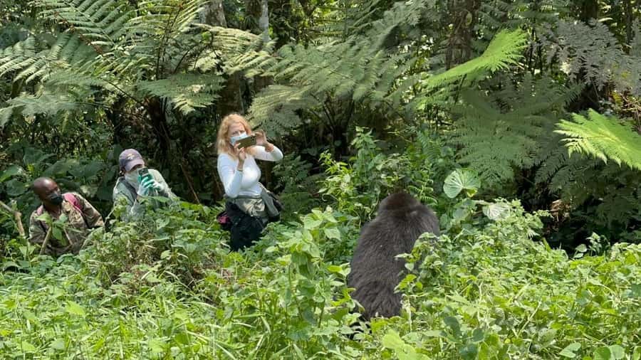 7 Day Rwanda Uganda Primates Trekking and Wildlife Tour - A walking safari in Lake Mburo before Kigali