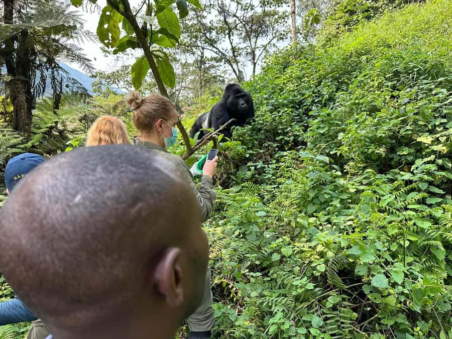7 Day Rwanda Uganda Primates Trekking and Wildlife Tour - What the $4,200 price really covers