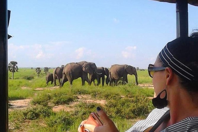 7-Day Uganda Adventure Safari - Midrange Lodges - Why this safari works for a first Uganda visit