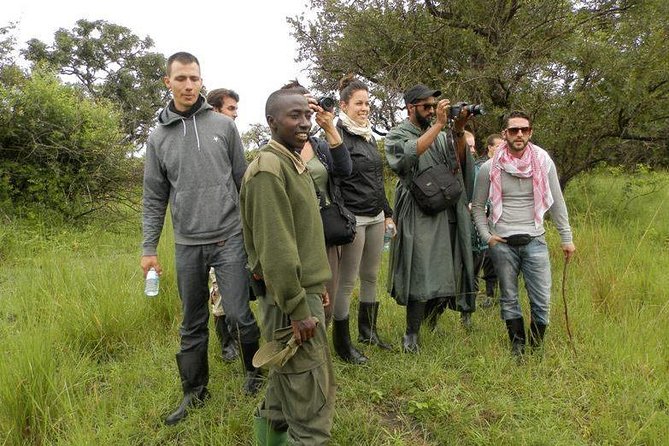 7-Day Uganda Adventure Safari - Midrange Lodges - Day 5: Queen Elizabeth and the Kazinga Channel