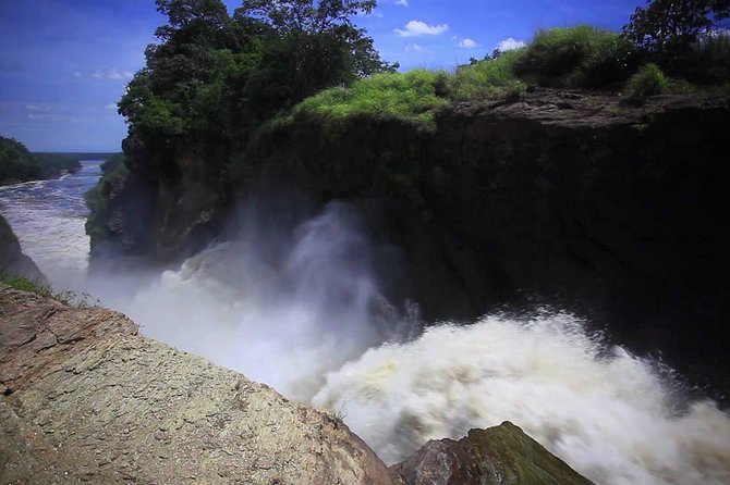 7-Day Uganda Adventure Safari - Midrange Lodges - Day 6: Game drives, Uganda kobs, and the Ishasha search