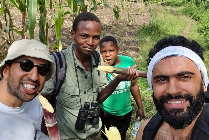 7 Days Fort Portal Culture Tour Western Uganda - Kibale Forest and the Chimpanzee Experience
