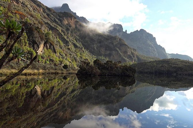 7 Days Rwenzori Summit (Margherita Peak) Hike - Day 2: Nyabitaba Hut, Mubuku River, and John Matte Hut
