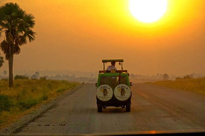 7 Days Safari and Rhino Trekking - Key things to know before booking