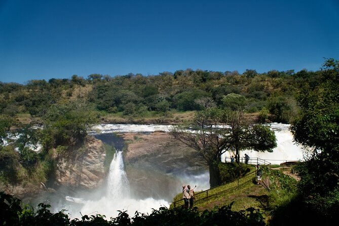 7 Days Safari and Rhino Trekking - Queen Elizabeth National Park and the Rwenzori backdrop