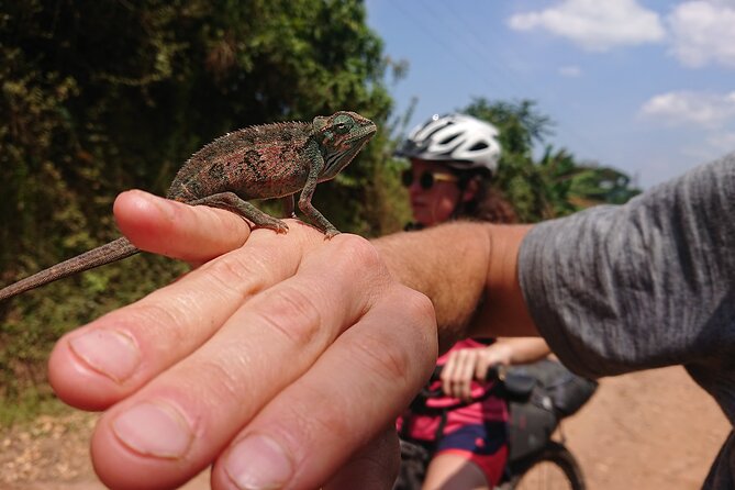 7 Hours Guided Cycling Tour to Sezibwa Waterfalls - Guides who help when the road turns technical