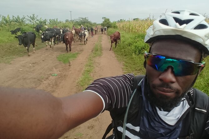 7 Hours Guided Cycling Tour to Sezibwa Waterfalls - Is the $73.50 price good value?