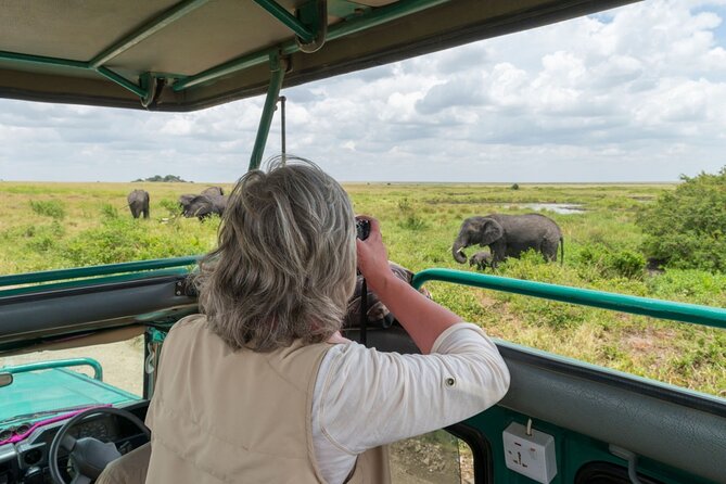 8-Day Classic Uganda Primates & Wildlife Tour - Day 7: Chimpanzees and the community-run Bigodi wetlands