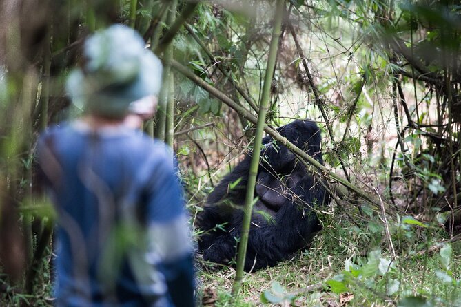 8-Day Classic Uganda Primates & Wildlife Tour - Day 2: Lake Mburo, the equator, and an easy first safari