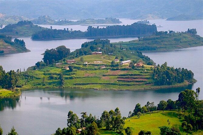 8-Day Murchison Falls, Chimp and Epic Gorilla Trekking - Day 5: Queen Elizabeth’s evening wildlife drive