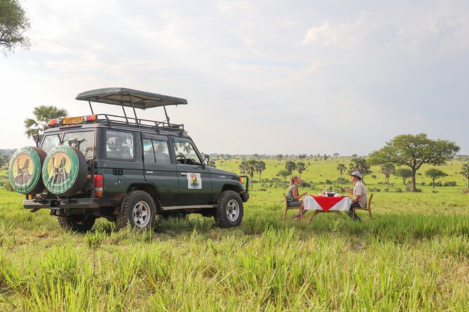8-Day Private Uganda Big 5 Luxury Safari with Gorillas and Chimps - Day 4: Chimpanzees in Kibale, then Queen Elizabeth