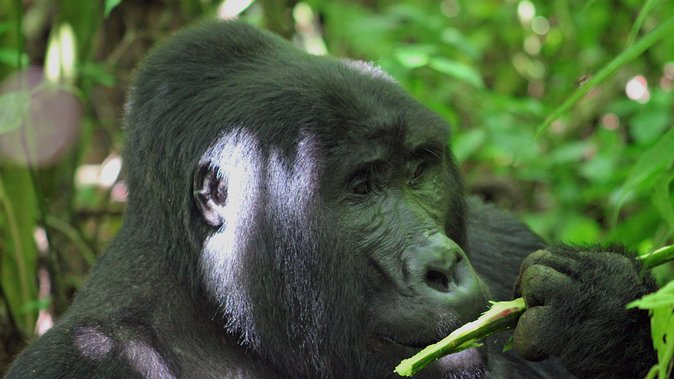 Bwindi Gorilla Safari - 3 Days - Day One: Kampala to Bwindi by Way of the Equator