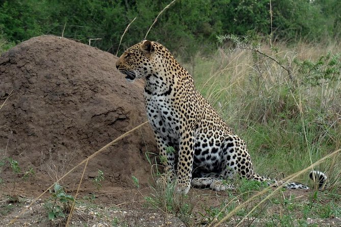 Bwindi impenetrable Kenya Tanzania Gorilla Safari 14 days 13 nights - Why this route is so ambitious