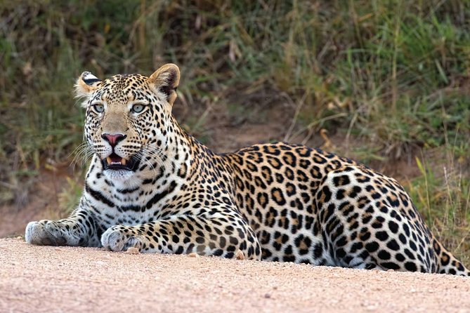 Bwindi impenetrable Kenya Tanzania Gorilla Safari 14 days 13 nights - Days 11 to 12: From Nairobi to Lake Manyara and Ngorongoro