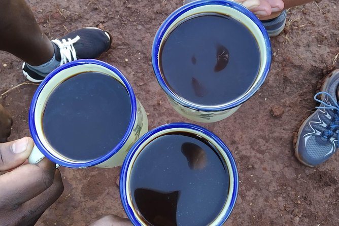 Coffee Tour Experience - Four coffee styles to compare