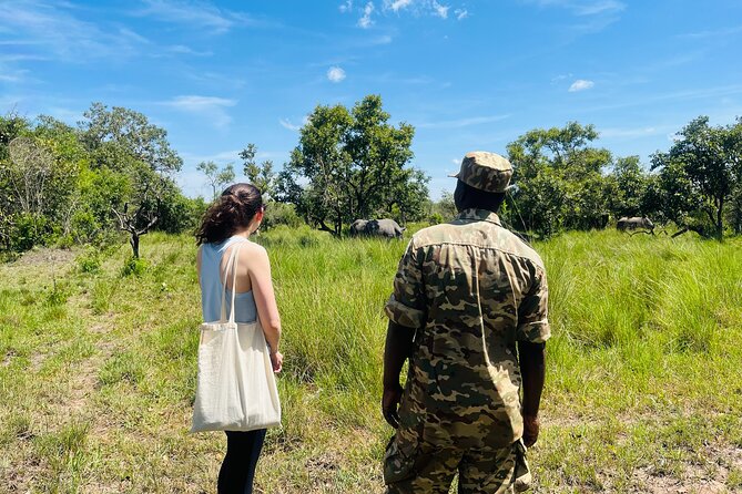 Day Tour Of Ziwa Rhino Sanctuary and Wildlife Ranch - ZIWA RHINO TREKKING - Why Ziwa Works as a One-Day Wildlife Trip