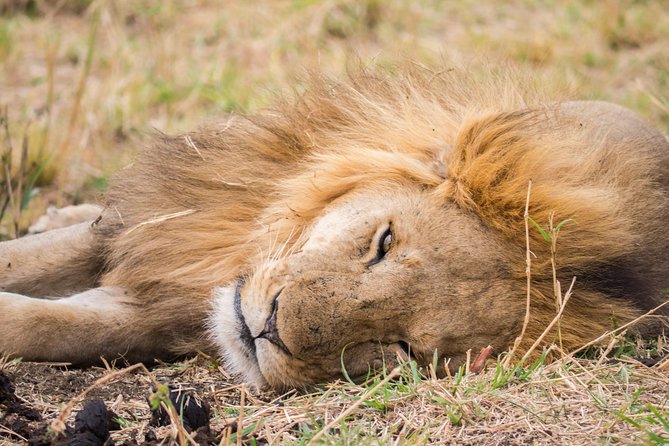 Eight days cultural and wildlife tour in Uganda - Day 4: Moroto and an introduction to Karamoja