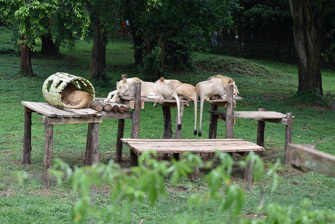 Entebbe Eco Tour - Full Day - Why this makes a good Entebbe day tour