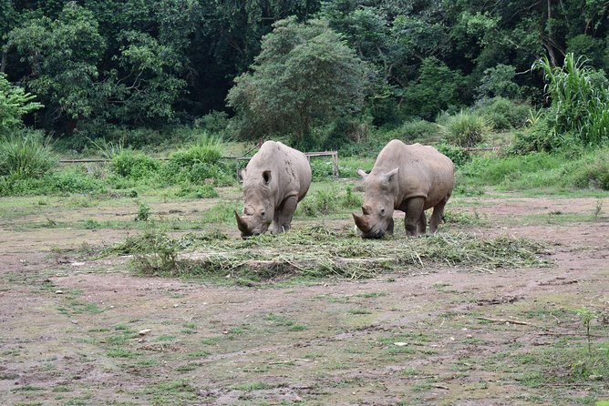 Entebbe Eco Tour - Full Day - Lunch: a useful taste of local Uganda