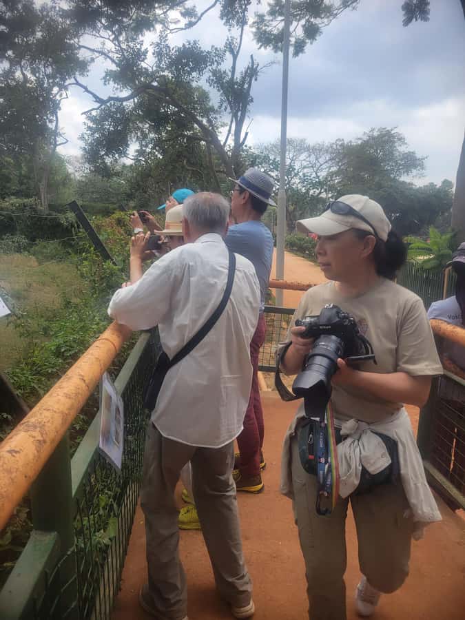 Entebbe: Female-Led Guided Walking Tour - Why this Entebbe walk is worth considering