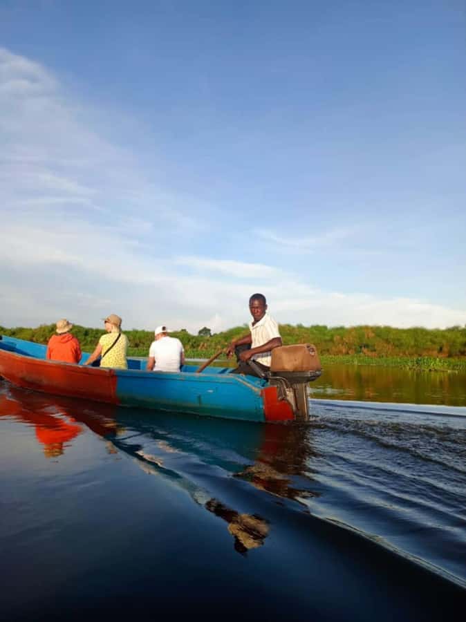 Entebbe: Mabamba Swamp Shoebill Tracking Boat Tour - The other birds you may see
