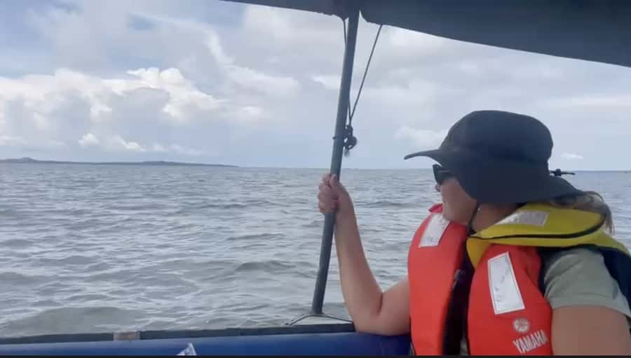 Entebbe: Ngamba Island Chimpanzee Trekking Day Trip - The conservation lesson behind the visit